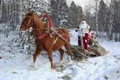 заказ деда мороза на веб сайте