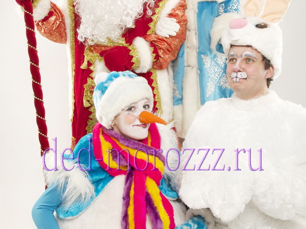 Заказываем домой разных персонажей с Дедом Морозом